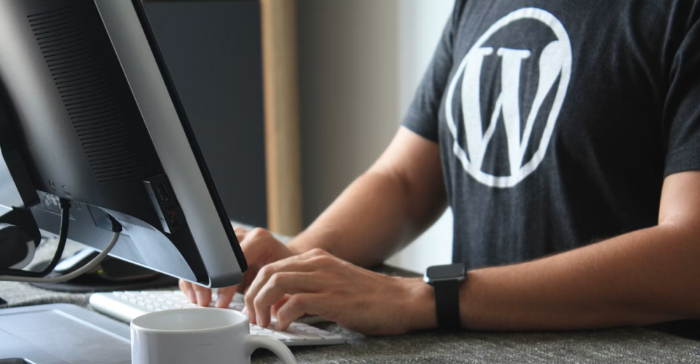 5 Must Use WordPress Plugins to create custom theme